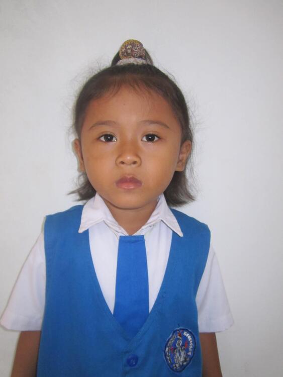 Nesa
